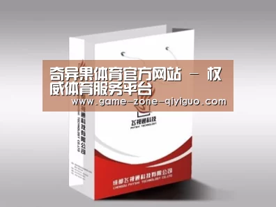 项目名称十三