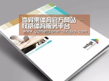 项目名称九