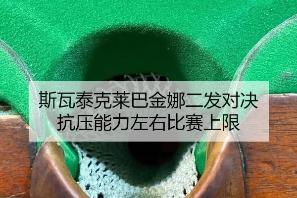 si-wa-tai-ke-lai-ba-jin-na-er-fa-dui-jue-kang-ya-neng-li-zuo-you-bi-sai-shang-xian-2-376.jpg
